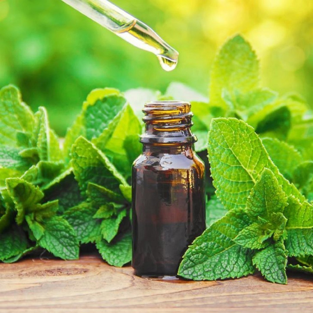 Mentha Piperita Essential Oil