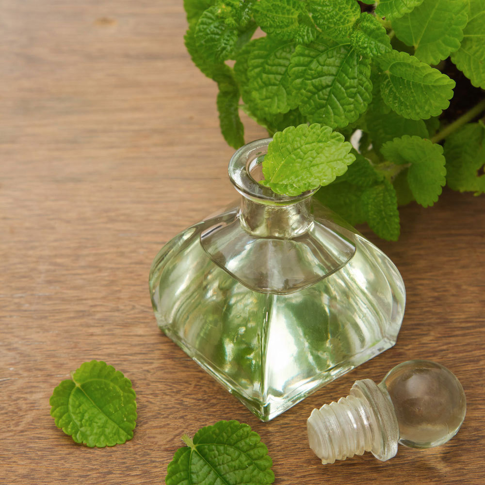 Mentha Piperita Essential Oil