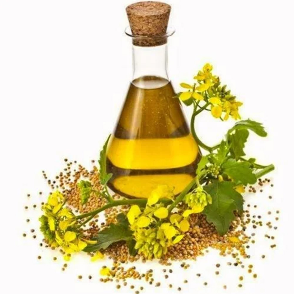 Nirgundhi Essential Oil