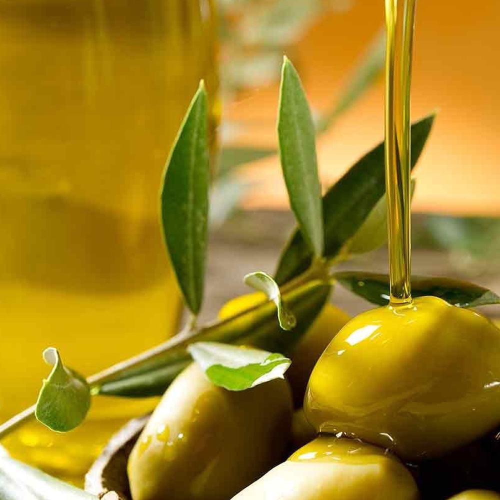 Olive Oil (Pomace)