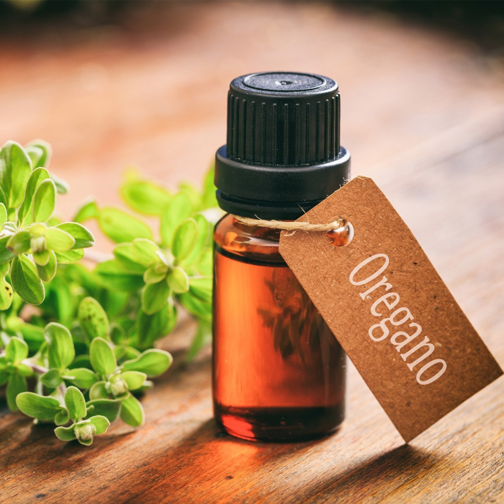 Oregano Essential Oil