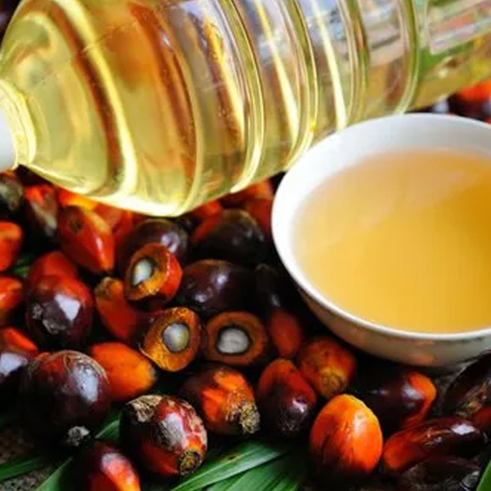 Palm Oil