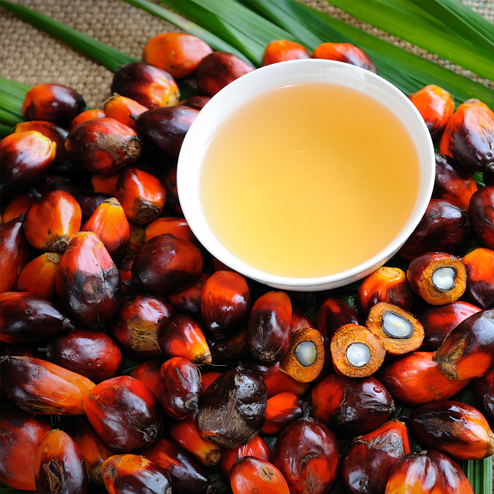 Palm Oil