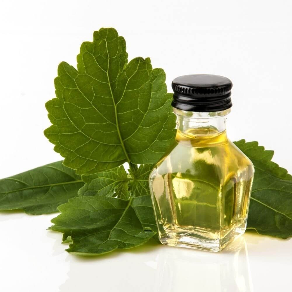 Patchouli Essential Oil