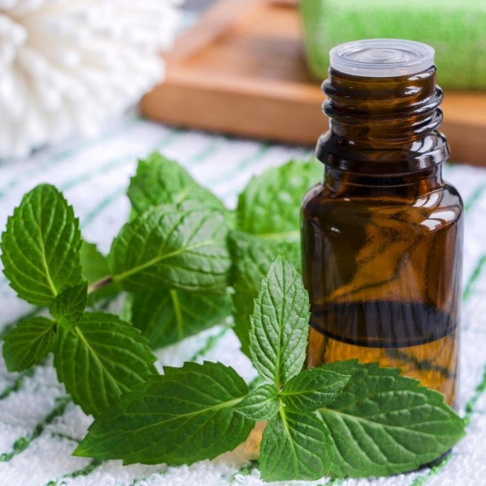 Peppermint Essential Oil