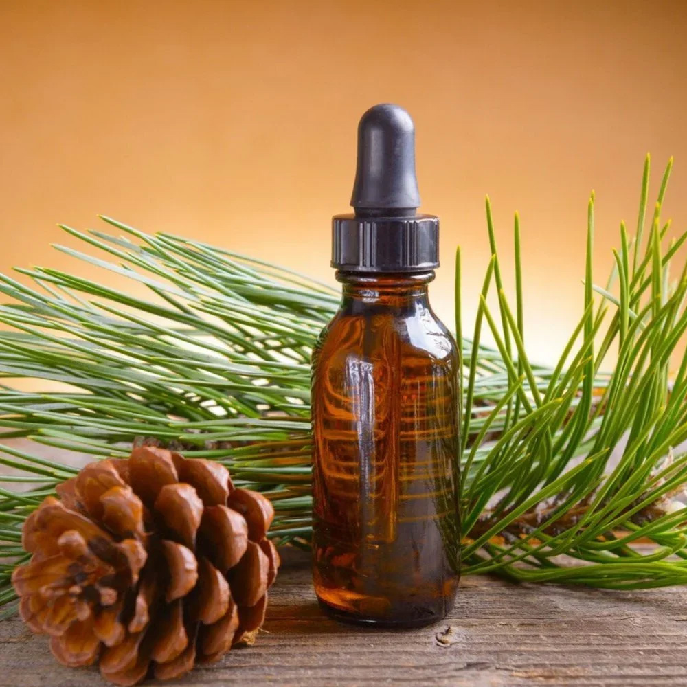 Pine Essential Oil