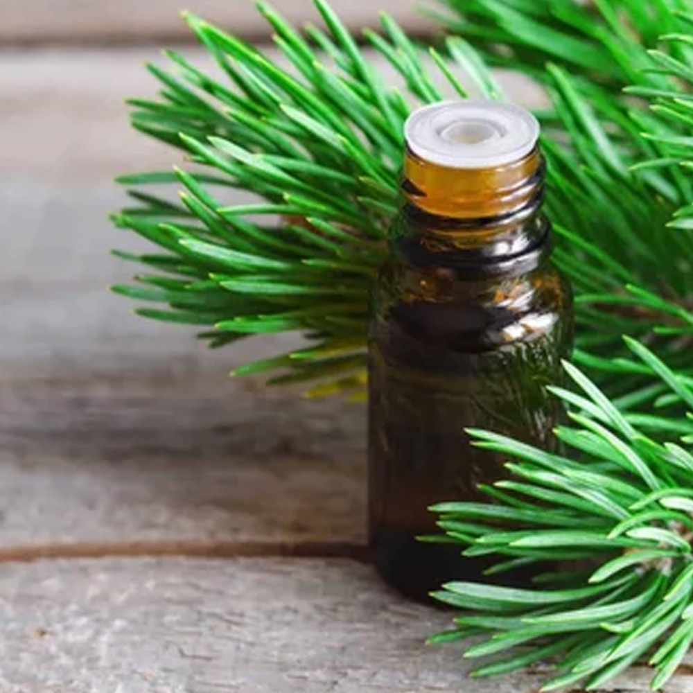 Pine Essential Oil