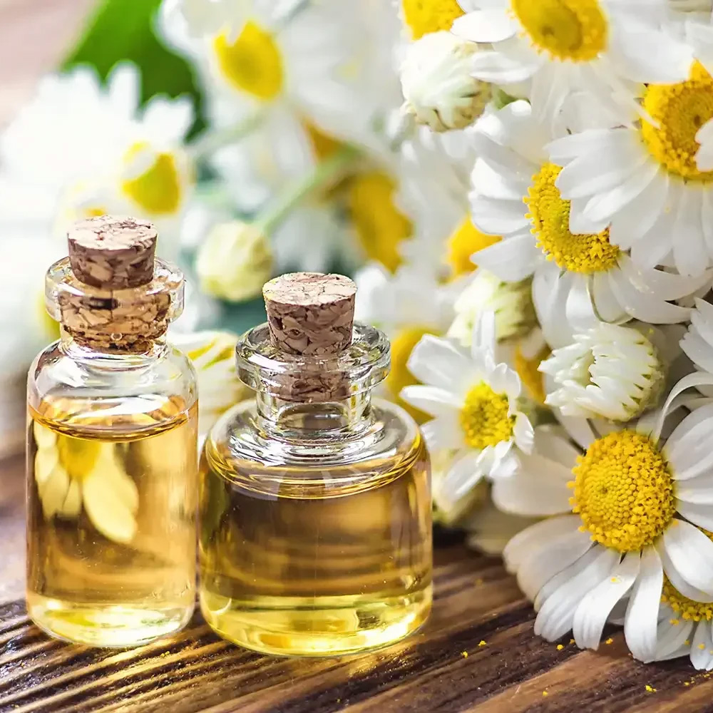 Roman Chamomile Essential Oil