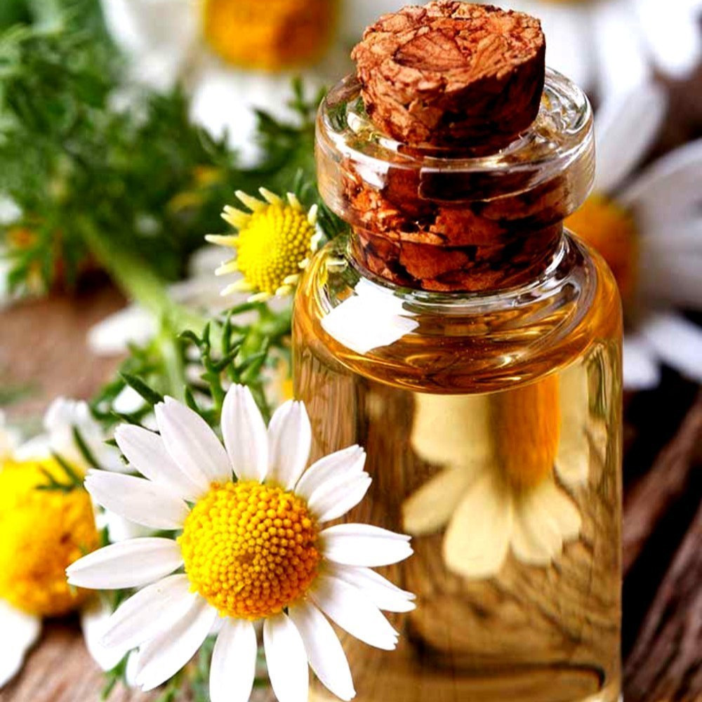 Roman Chamomile Essential Oil
