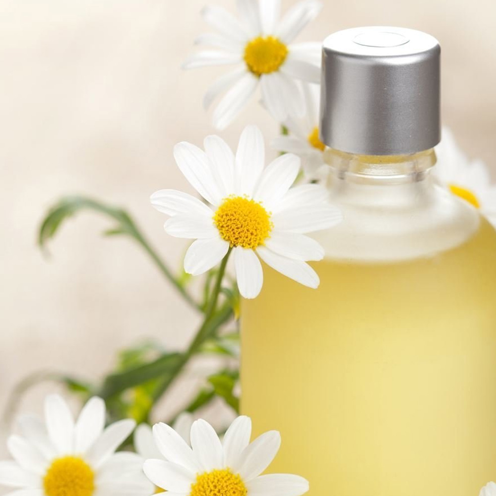 Roman Chamomile Essential Oil