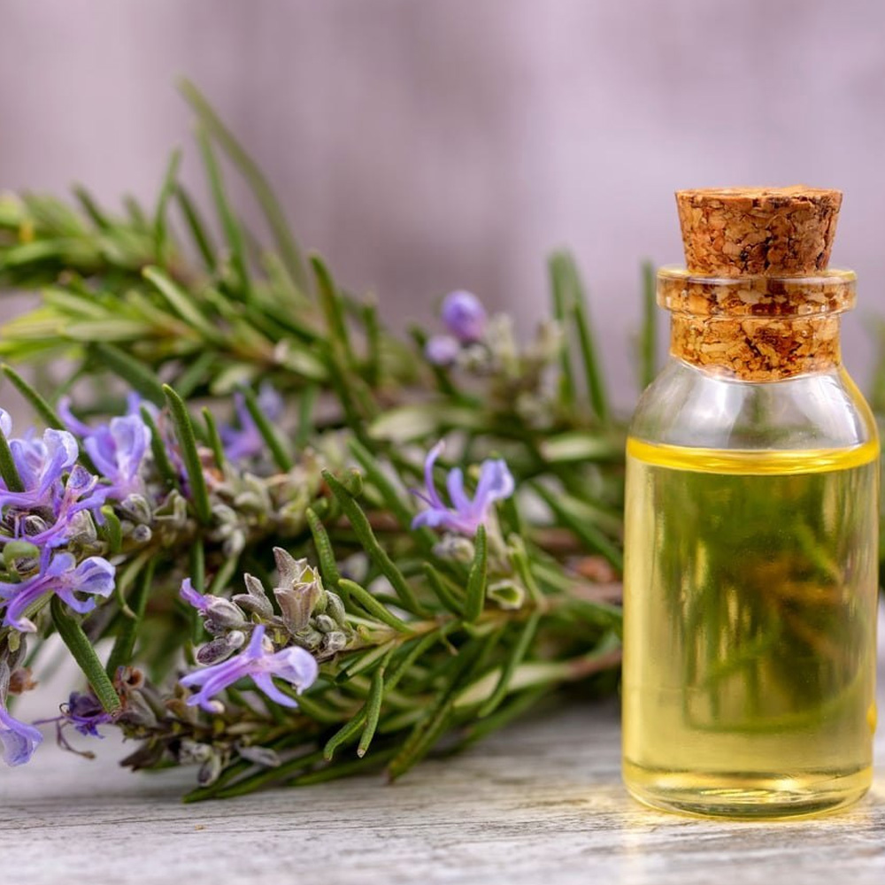 Rosemary Essential Oil