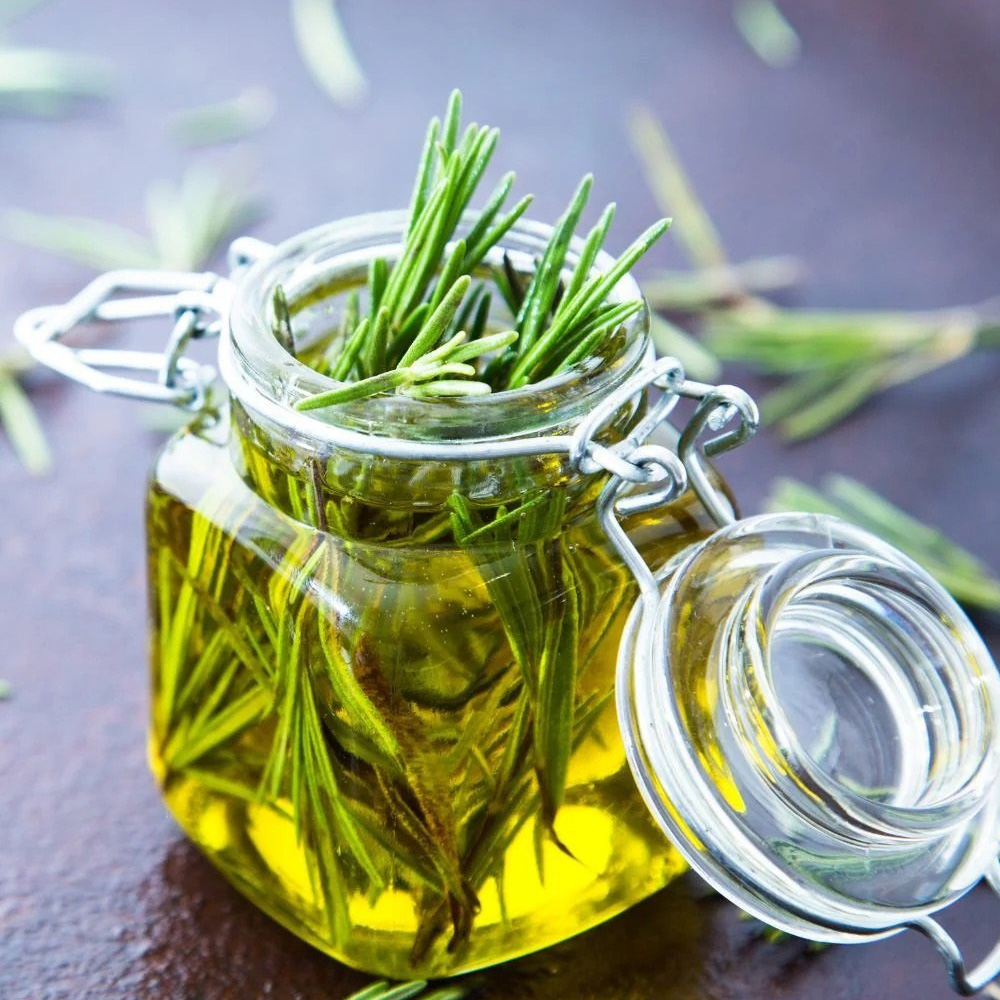 Rosemary Essential Oil