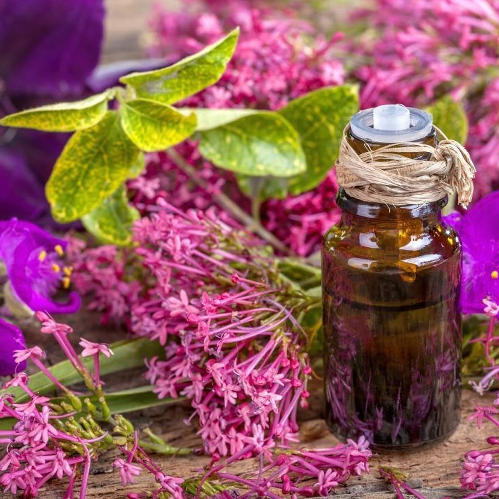 Sage Essential Oil