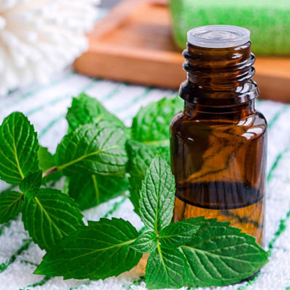 Spearmint Essential Oil