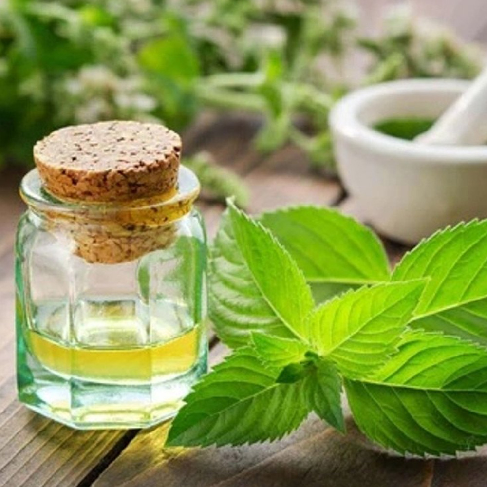 Spearmint Essential Oil