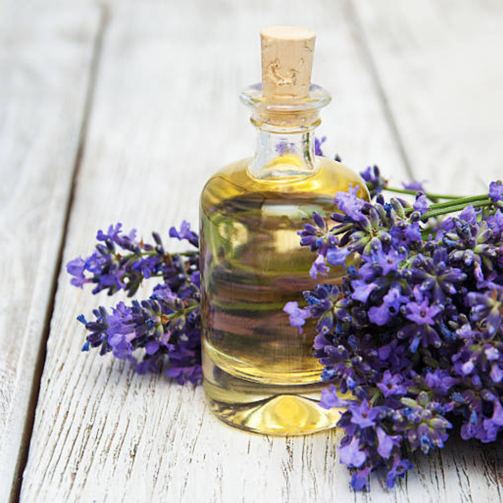 Spike Lavender Essential Oil