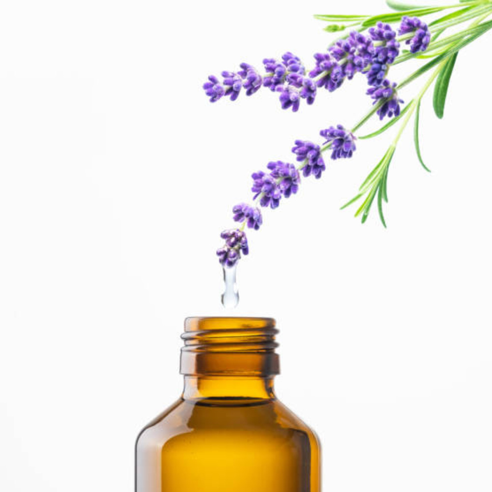 Spike Lavender Essential Oil