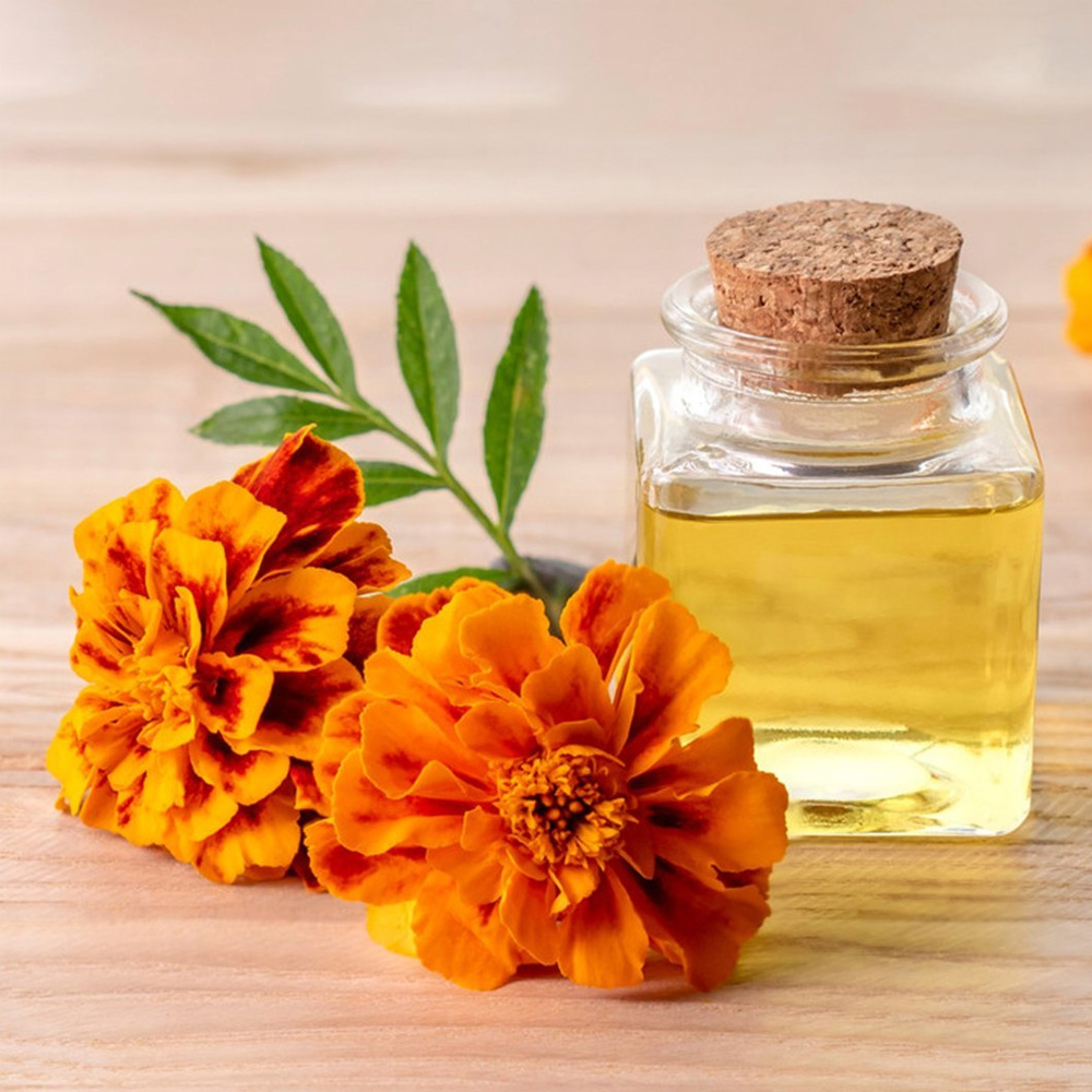 Tagetes Essential Oil