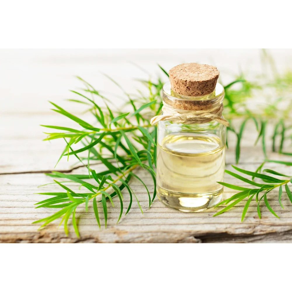 Tea Tree Essential Oil (Australian)