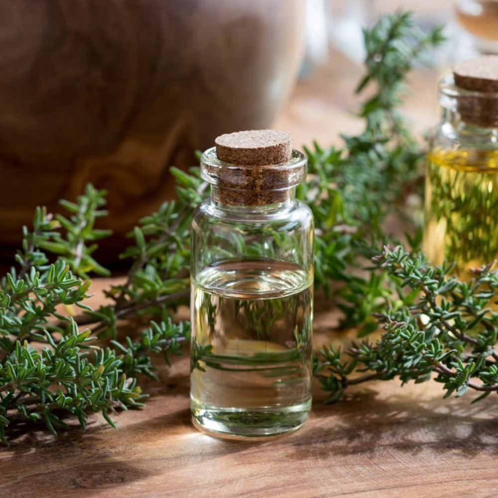 Thyme Essential Oil