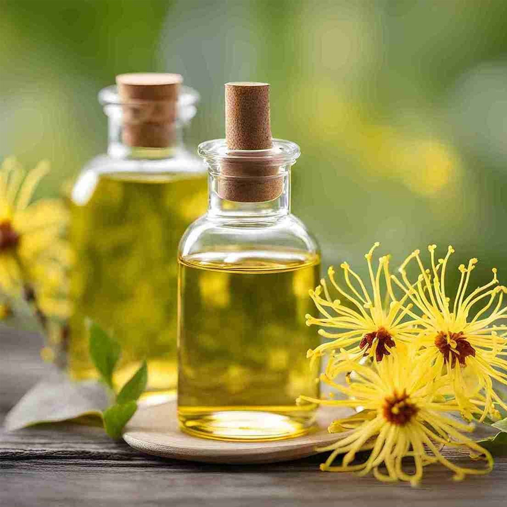 Witch Hazel Oil