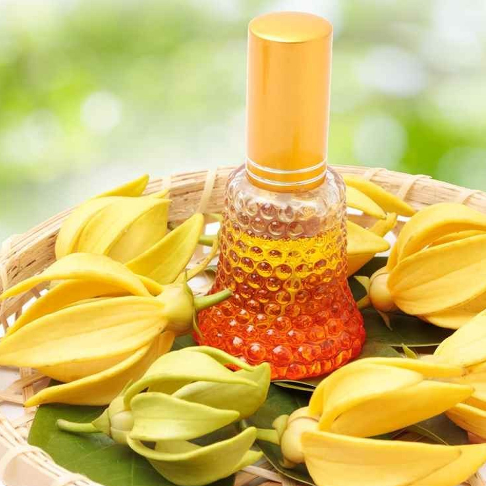 Ylang Ylang Essential Oil